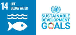 Afropolitan Alpha SIIP on Life bellow water for the Sustainable Development Goals